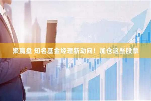 聚赢盘 知名基金经理新动向！加仓这些股票