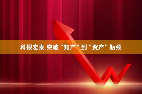 科银宏泰 突破“知产”到“资产”瓶颈