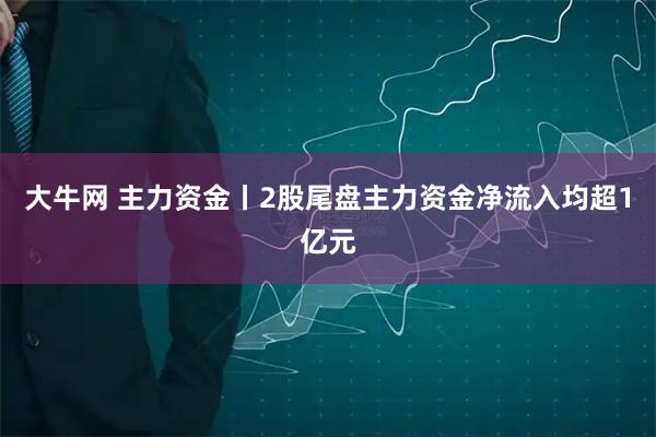 大牛网 主力资金丨2股尾盘主力资金净流入均超1亿元
